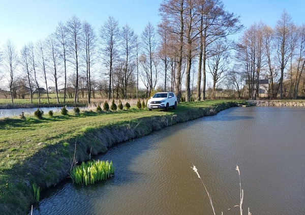 SsangYong REXTON cena 105000 przebieg: 38478, rok produkcji 2019 z Łódź małe 631